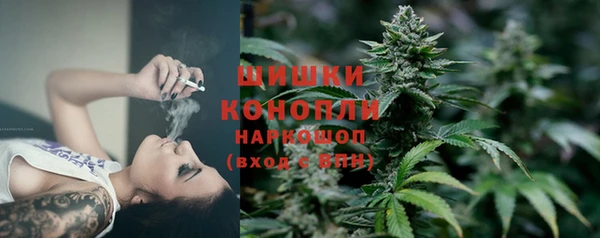 2c-b Богородицк