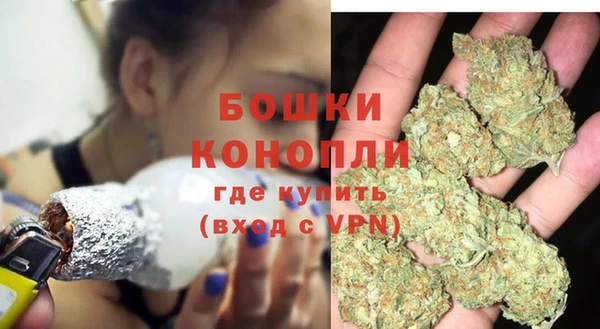 прущий лед Богданович