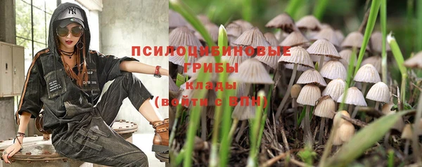 2c-b Богородицк