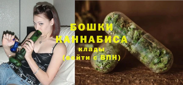 прущий лед Богданович