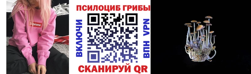 Галлюциногенные грибы Magic Shrooms  хочу наркоту  Голицыно 